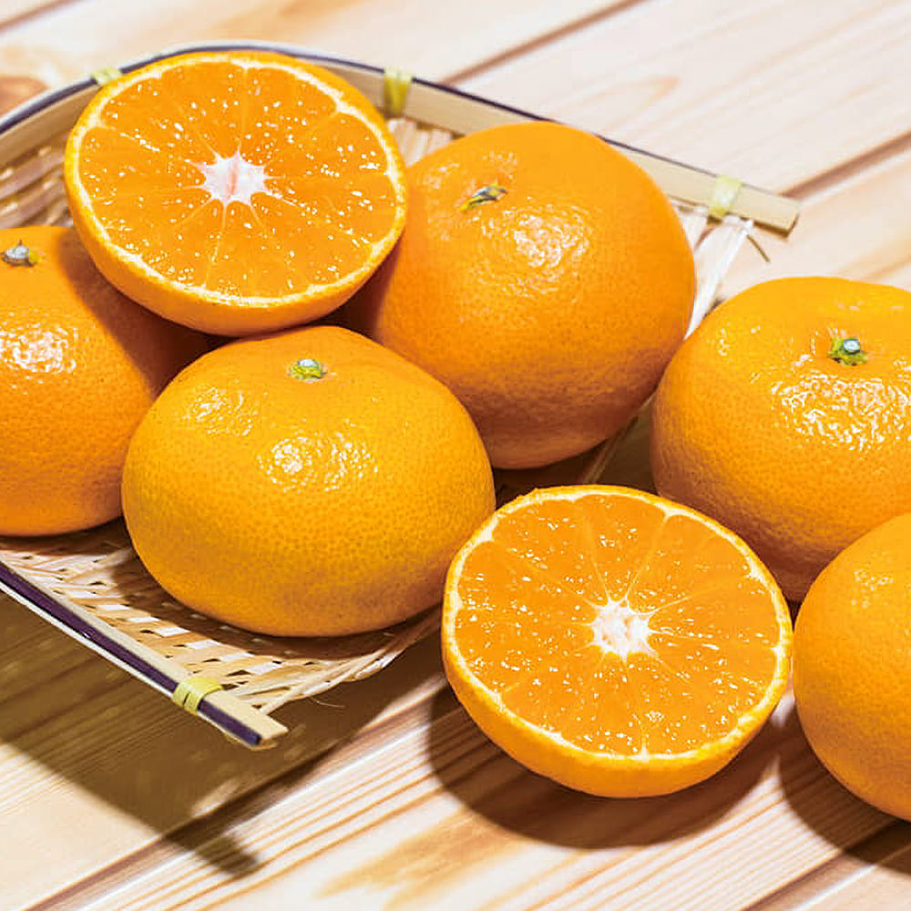 愛媛県産 宇和島みかん 3kg(25～30個) | TAKASHIMAYA グルメ＆コンフォート