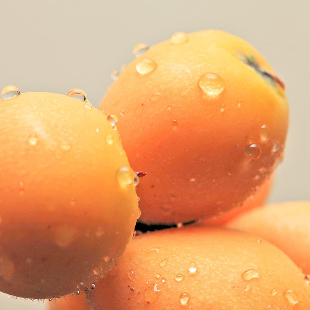 長崎県産びわセット | TAKASHIMAYA グルメ＆コンフォート