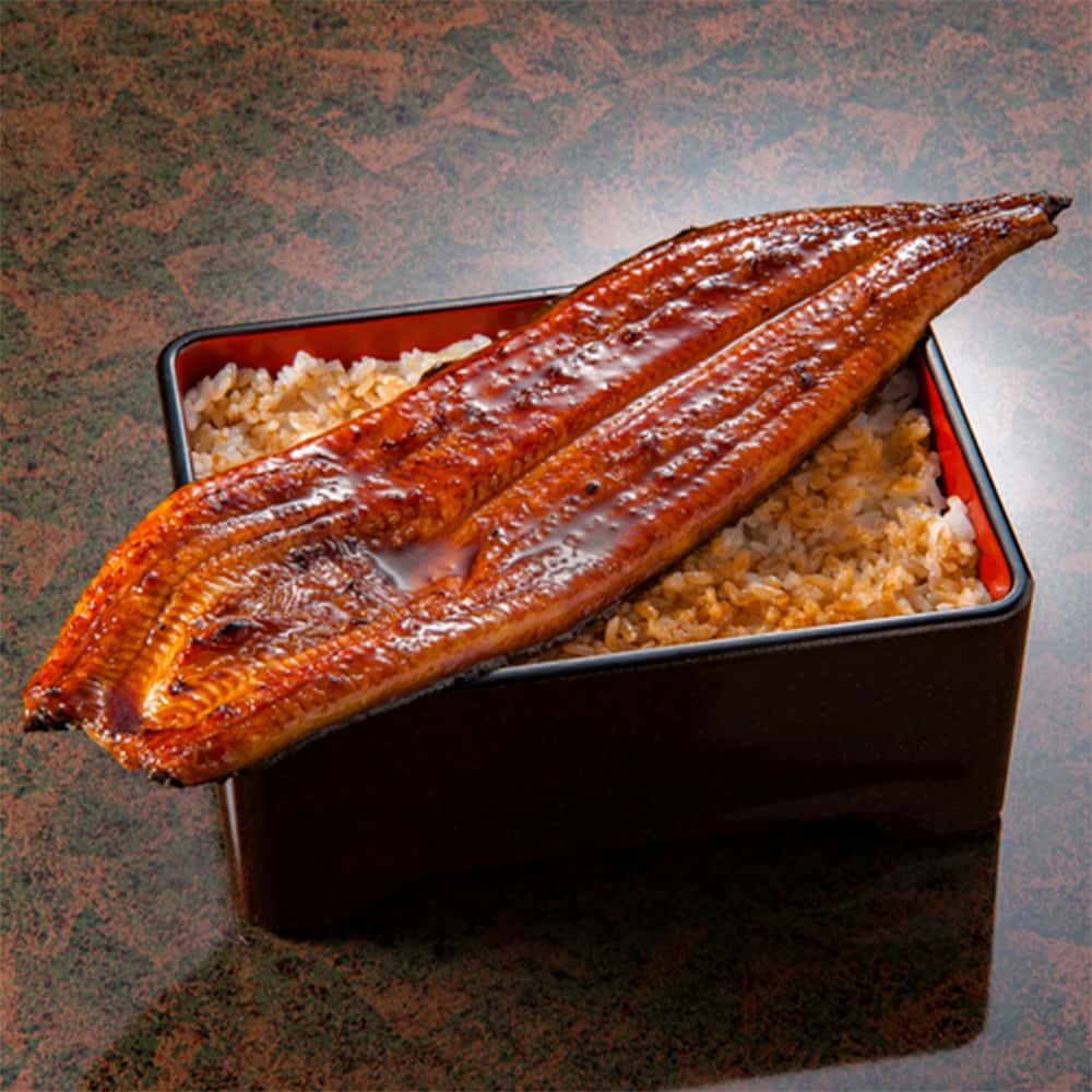 大五うなぎ工房＞国産うなぎ長蒲焼（特大190g×3尾） | TAKASHIMAYA