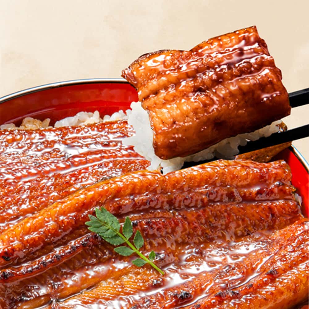 大五うなぎ工房＞国産うなぎ長蒲焼（特大190g×3尾） | TAKASHIMAYA